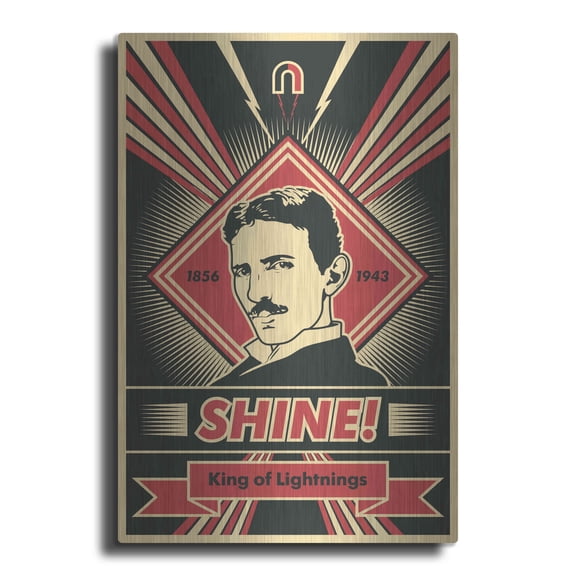 Luxe Metal Art 'Tesla' Metal Wall Art, 12"x16"