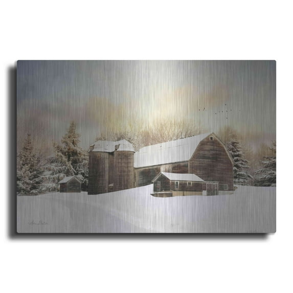 Luxe Metal Art 'The Color of Winter' by Lori Deiter, Metal Wall Art, 36"x24"