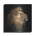 thumbnail image 1 of Luxe Metal Art 'The King Of The Jungle' by Epic Portfolio Metal Wall Art, 24"x24", 1 of 8