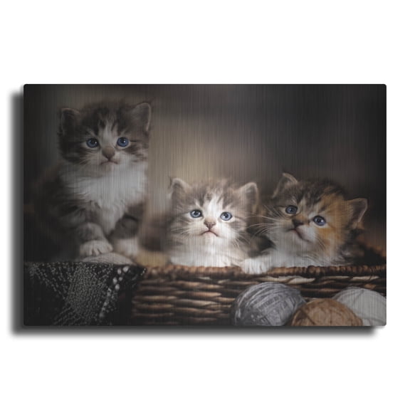 Luxe Metal Art 'Three Kittens' by Jonathan Ross, Metal Wall Art, 24"x16"