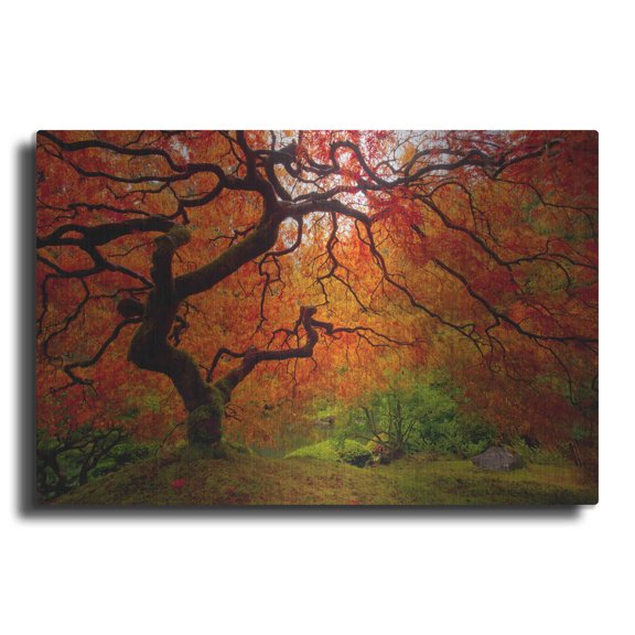 Luxe Metal Art 'Tree Fire' by Darren White, Metal Wall Art, 16"x12"