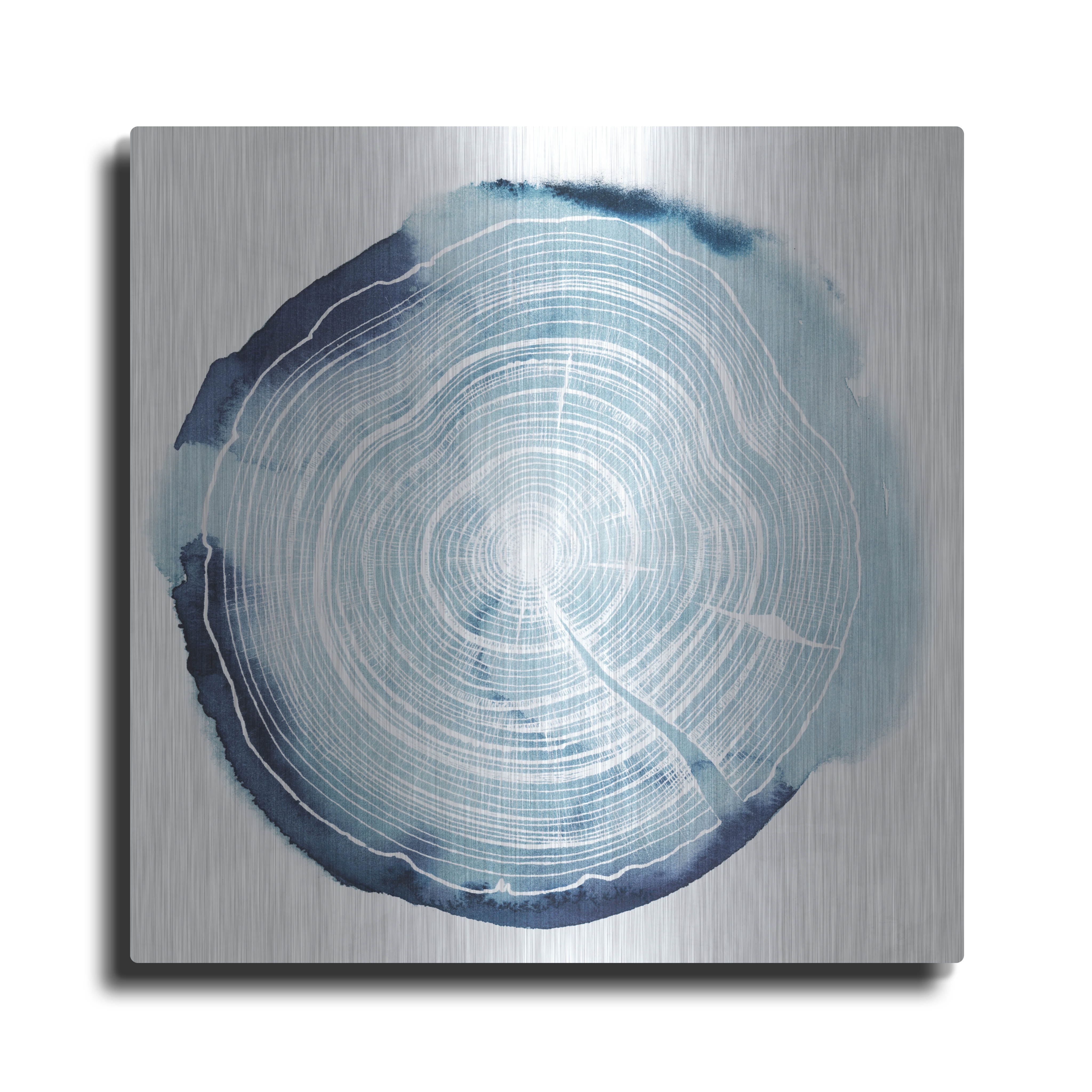 Luxe Metal Art 'Tree Ring Overlay III' by Grace Popp, Metal Wall Art ...