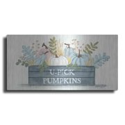 Luxe Metal Art U-Pick Pumpkins by Sara Baker, Metal Wall Art, 24"x12"