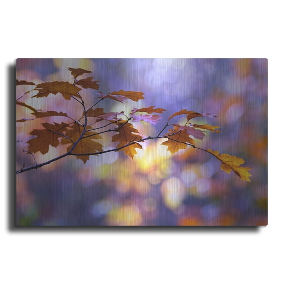 Luxe Metal Art ' United Colors of Autumn' by Roeselien Raimond, Metal Wall Art, 16"x12"