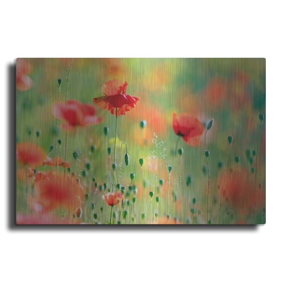 Luxe Metal Art ' United Colors of Summer' by Roeselien Raimond, Metal Wall Art, 16"x12"