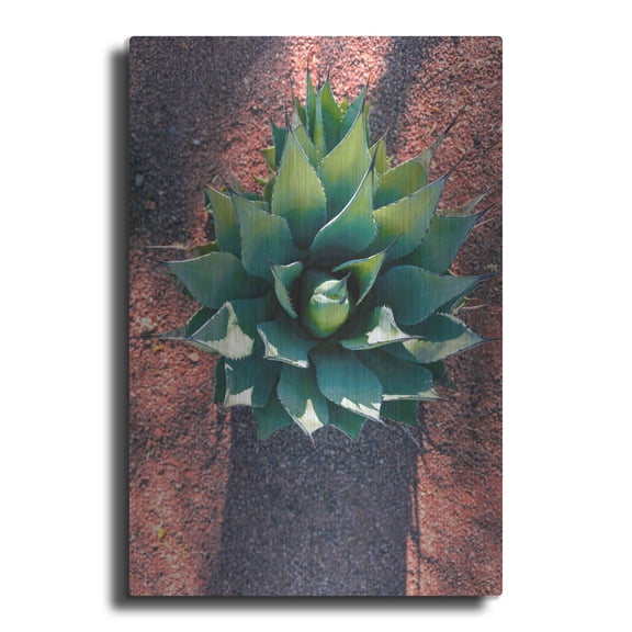 Luxe Metal Art 'Utah - Cactus 1' by Luxe Portfolio, Metal Wall Art, 16"x24"