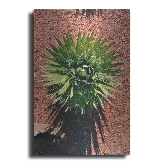 Luxe Metal Art 'Utah - Cactus 2' by Luxe Portfolio, Metal Wall Art, 24"x36"
