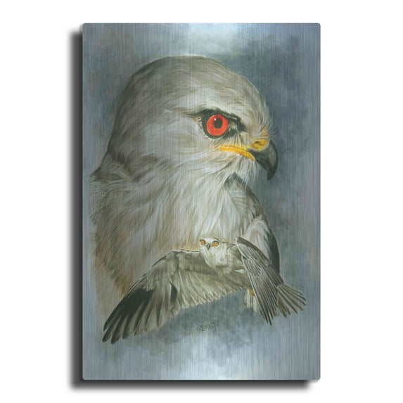 Luxe Metal Art 'Velocity' by Barbara Keith, Metal Wall Art, 24"x36"