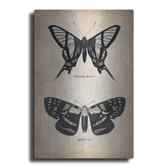 Luxe Metal Art 'Vintage Butterflies Duo 2' by Art Licensing Studio Metal Wall Art, 24" x 36"