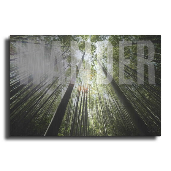 Luxe Metal Art 'Wander' by Susan Ball, Metal Wall Art, 16"x12"