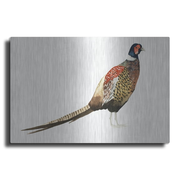Luxe Metal Art 'Watercolor Pheasant I' by Grace Popp, Metal Wall Art, 24" x 16"