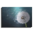 thumbnail image 1 of Luxe Metal Art 'Wood Series: Dandi Blue', Metal Wall Art, 24"x16", 1 of 8