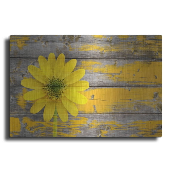 Luxe Metal Art 'Wood Series: Rustic Daisy', Metal Wall Art, 16"x12"