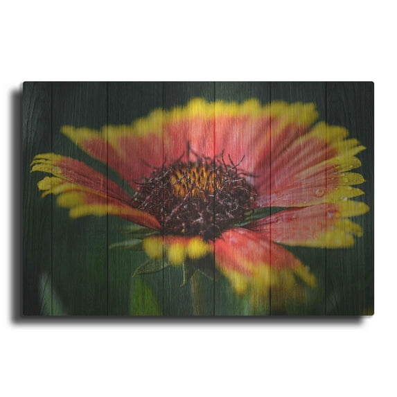 Luxe Metal Art 'Wood Series: Sunburst', Metal Wall Art, 24"x16"