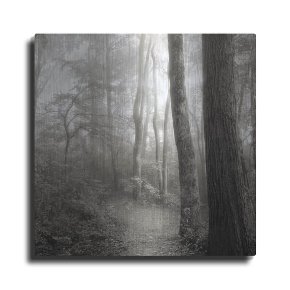Luxe Metal Art 'Woodland Path' by Nicholas Bell Photography, Metal Wall Art, 24"x24"