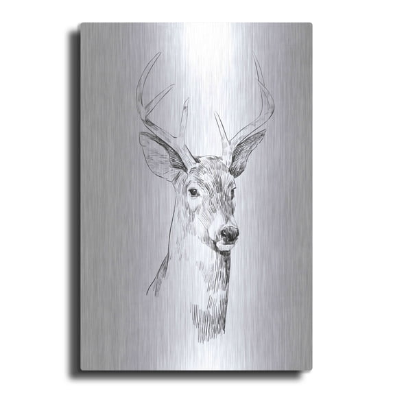 Luxe Metal Art 'Young Buck Sketch I' by Emma Scarvey, Metal Wall Art, 12"x16"
