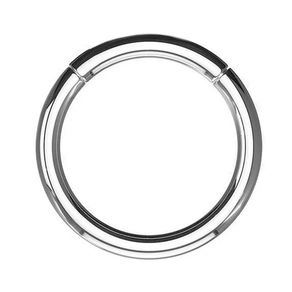 Luxe Modz Hinged Segment Rings Made of 316L Surgical Steel All sizes and Gauges Piercings