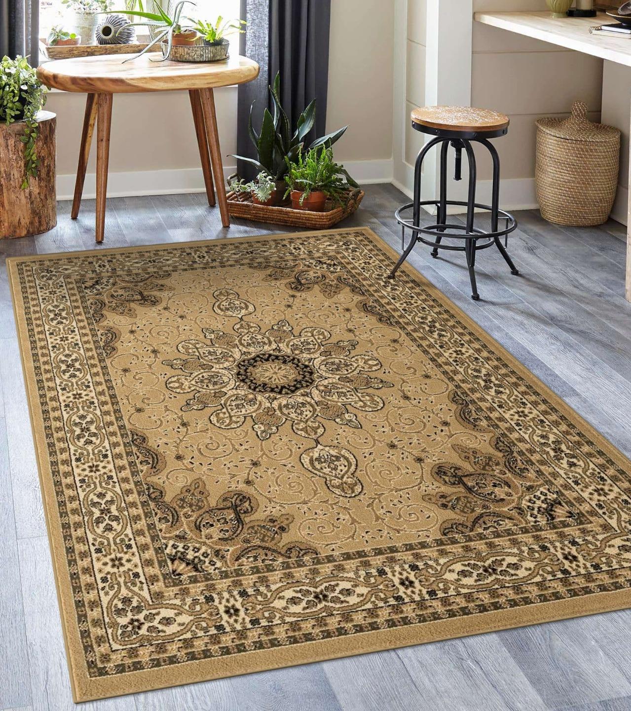 Loloi II Skye Oriental Apricot / Mist Area Rug