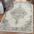 thumbnail image 1 of Luxe Weavers Vintage Oriental Silver 5x7 Area Rug for Living Room, 1 of 9