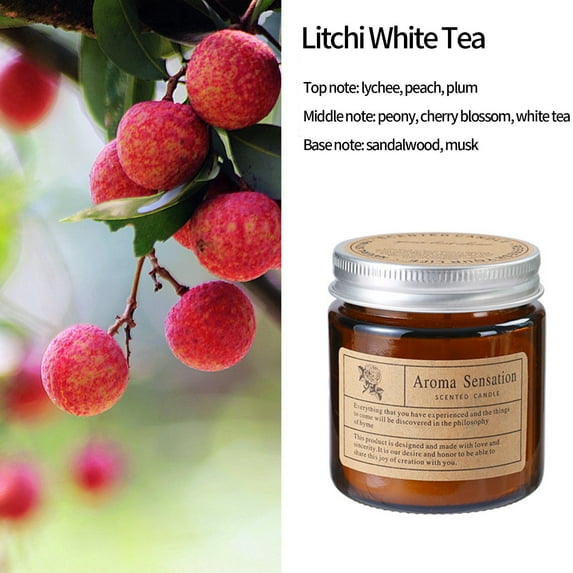 Luxicdy Scented Candles, Fall Scented Candles, Organic Candles Non Toxic, Soy Candles, Canned Candles for Home Scented, Candles for Men and Women, Stress Relief, Meditation, Yoga(B)