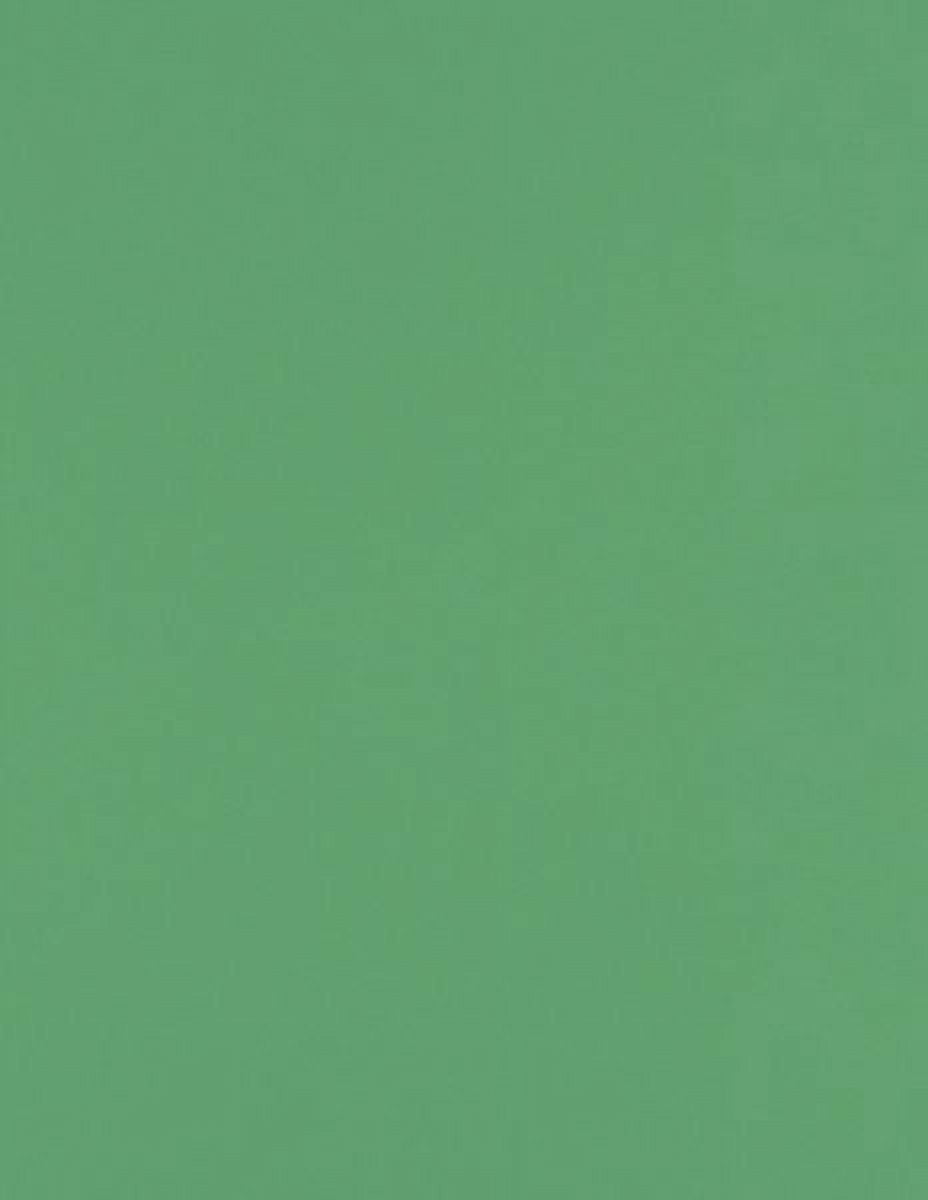 Luxpaper 8 1/2 X 11 Paper, Holiday Green, 50/Pack