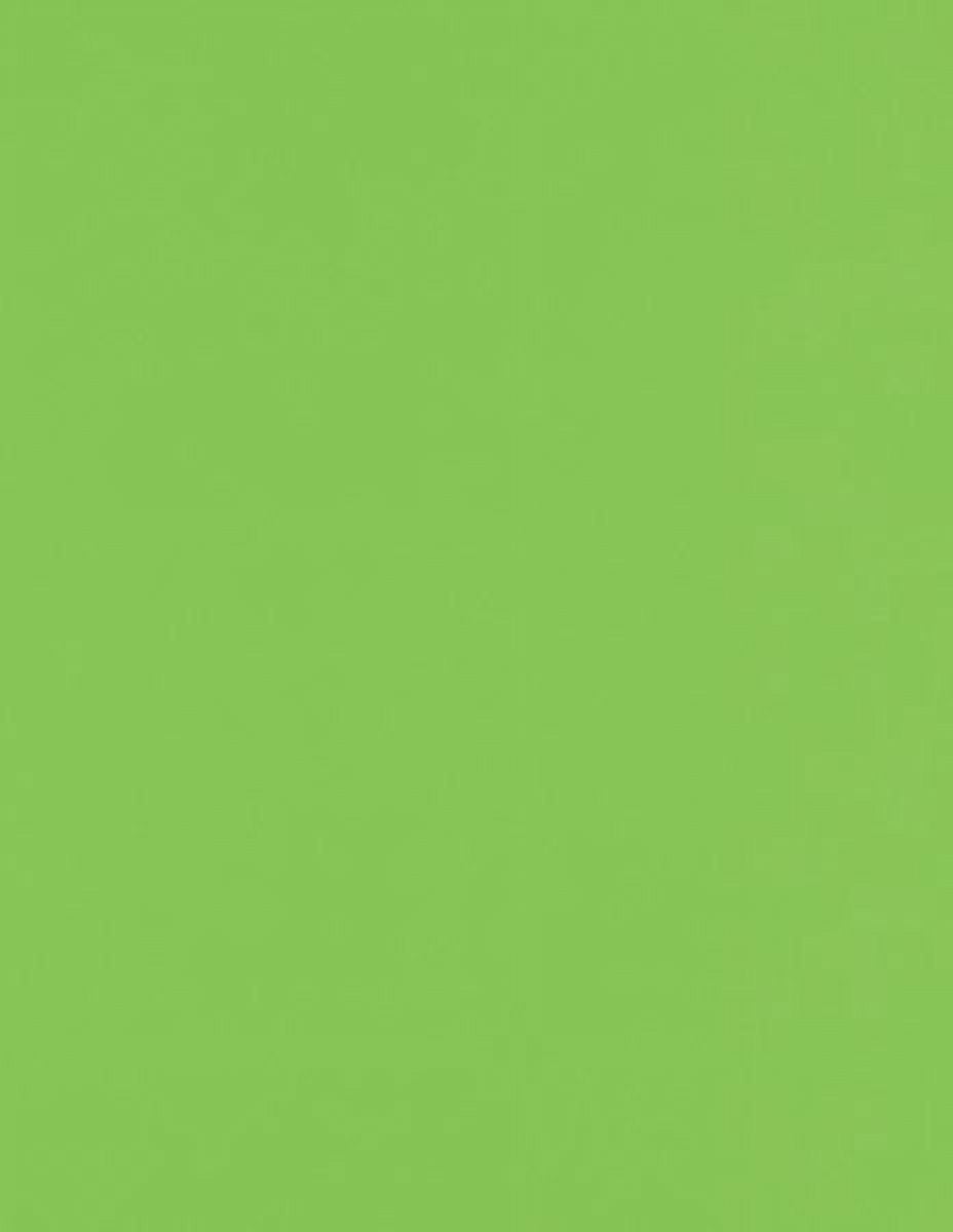 Luxpaper 8 1/2 X 11 Paper, Limelight, 50/Pack