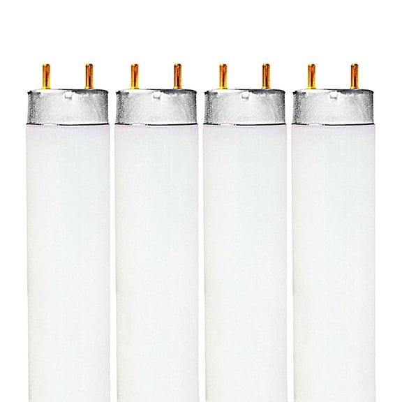 Luxrite F32T8/865 32W 48 Inch T8 Fluorescent Tube Light Bulb, 6500K Daylight, 2800 Lumens, G13 Medium Bi-Pin Base, LR20735, 4-Pack