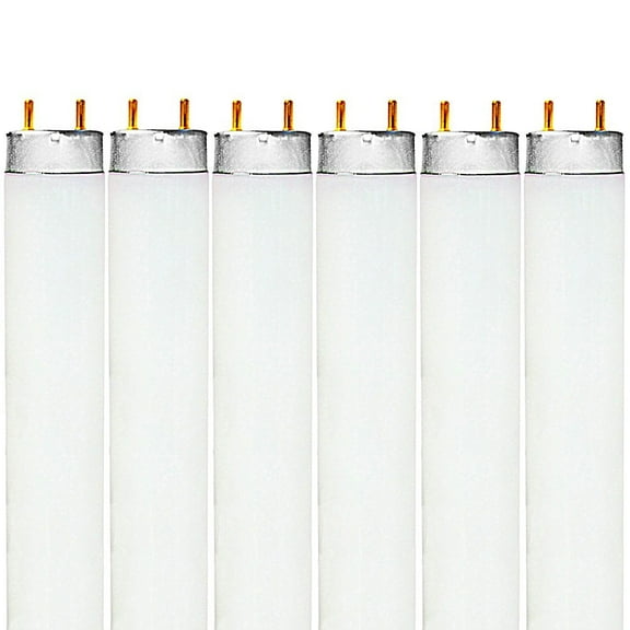 Luxrite F32T8/865 32W 48 Inch T8 Fluorescent Tube Light Bulb, 6500K Daylight, 2800 Lumens, G13 Medium Bi-Pin Base, LR20735, 6-Pack