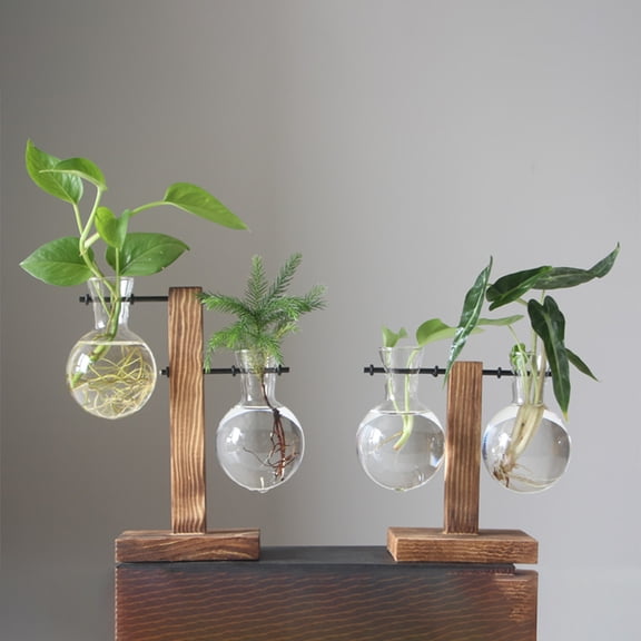 Luxshiny Water Planting Glass Vase Set with Beautiful Shape and Assorted Color Wooden Base for Home and Office Decor