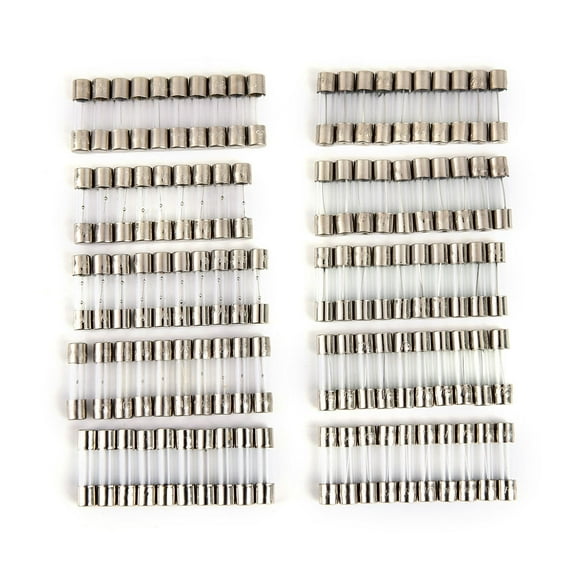Luxshiny 100Pcs Glass Tube Fuse Kit Plated Silver Amp 10 Values for Automobile and Electronic Use