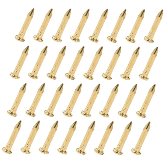 Luxshiny 100pcs Copper Nails for Wall Fastening Tool Round Head Nails for DIY Enthusiasts