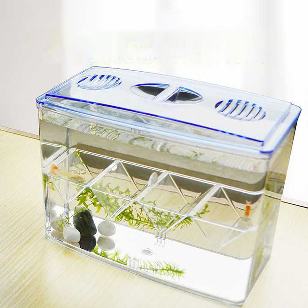 Rectangular Box Hatching Luxshiny 1PC Hatching Box for Fish Sturdy and Practical in Assorted ...