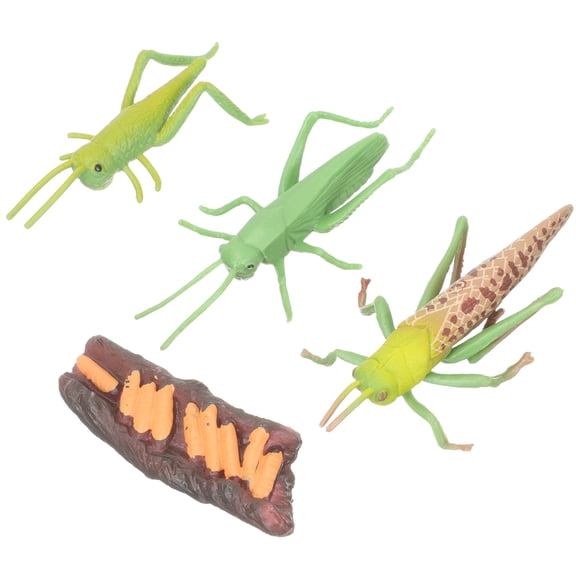Luxshiny 1Set Green Animal Growth Cycle Model Realistic Figurines for Science Education