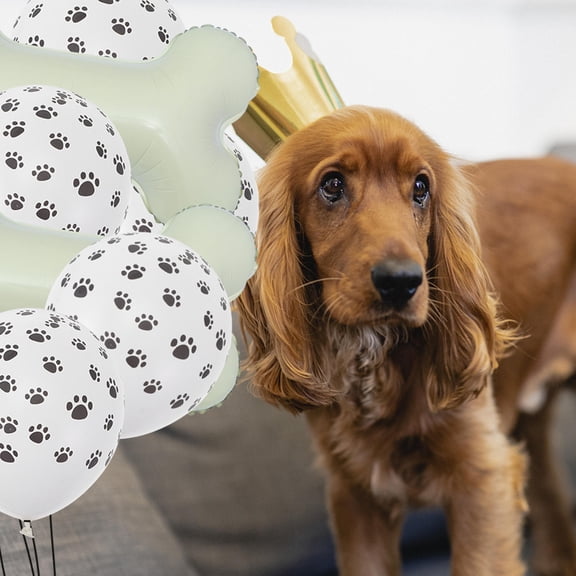 Luxshiny 1Set Assorted Color Bone and Dog Paw Pattern Balloons for Pet Birthday Party Decoration