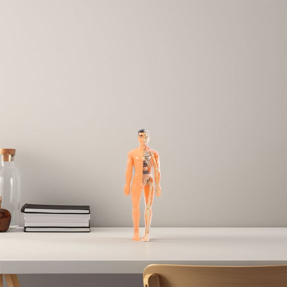 Luxshiny Laryngeal Anatomy Model 3D Human Body Anatomy Puzzle Plastic 1 Set