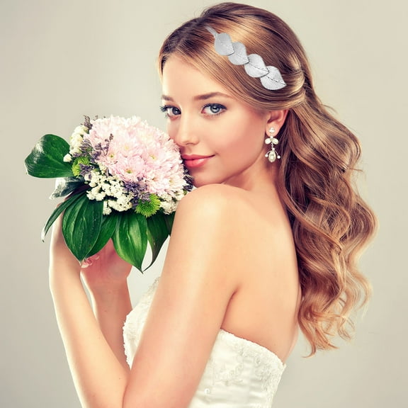 Luxshiny Hair Clips Elegant Hairpin Alloy 1 Set Hair Organization for Women Daily Use