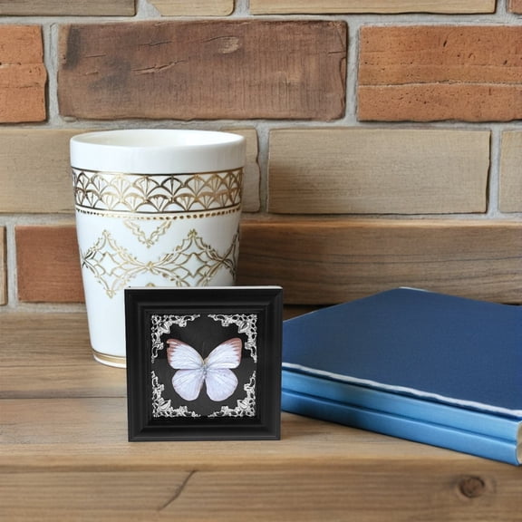 Luxshiny 1Set Small Shadow Box Frame for Butterfly Specimen with Clear Insect Display