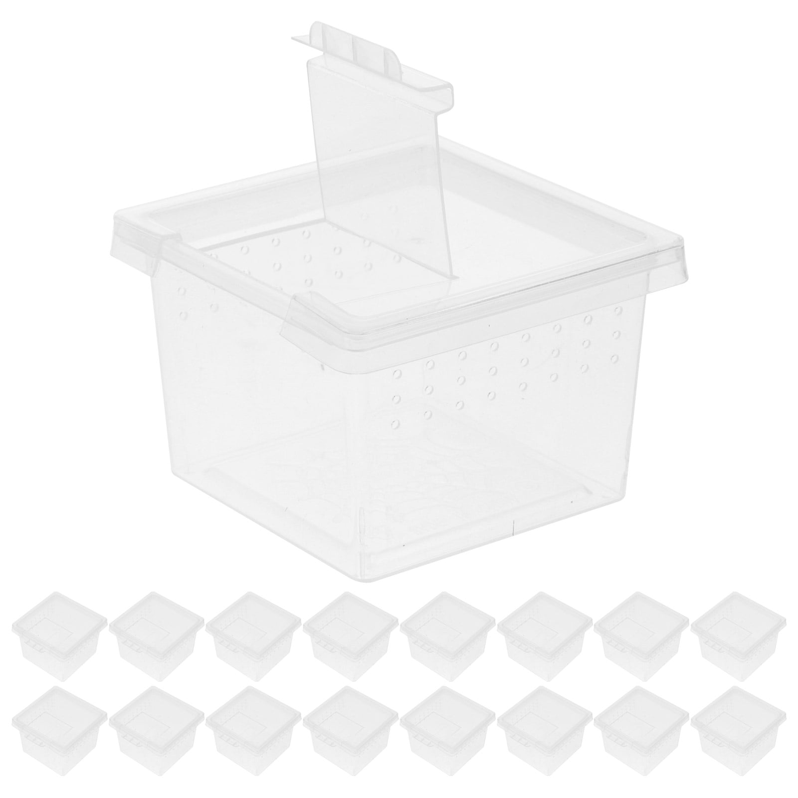 Luxshiny 20Pcs Transparent Spider Habitat Supplies Container For ...