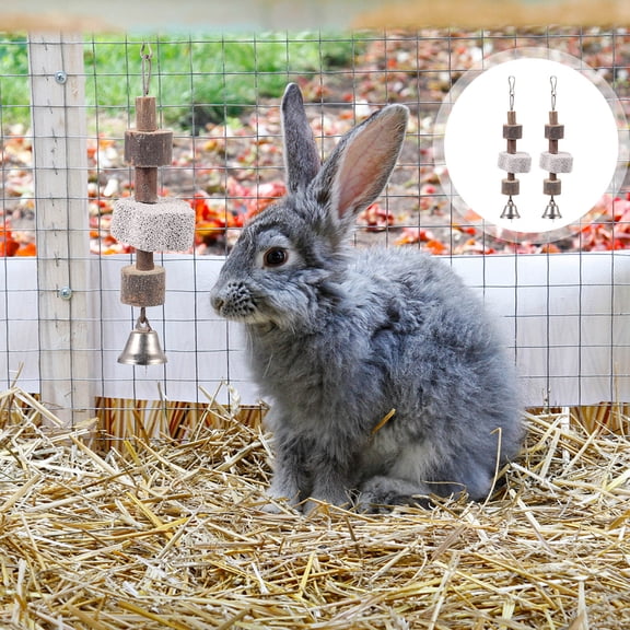 Luxshiny 2Pcs Hamster Stone Chew Toy Multi Metal Stress Relief for Pet Owners