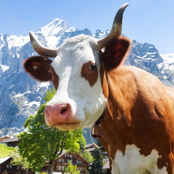 Luxshiny Set of 2 Iron Cow and Goat Bells with Anti-Lost Alarm, Farming Accessories for Livestock
