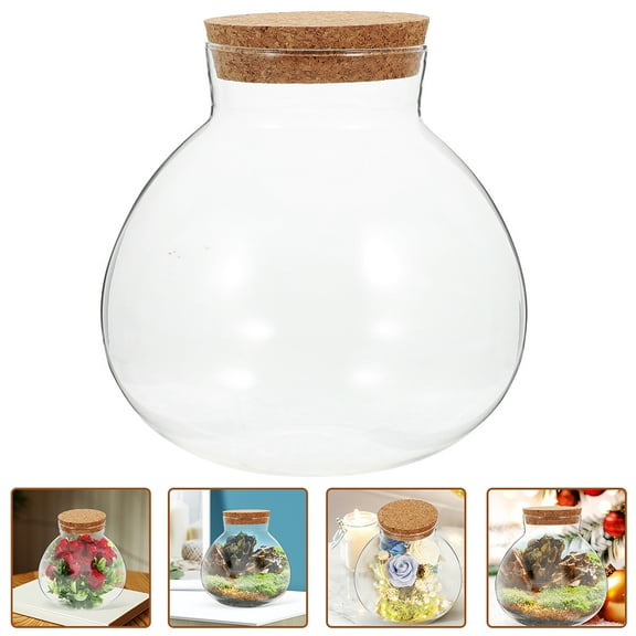 Luxshiny Moss Plant Bottle Transparent Multi-Purpose Glass Bottle for Home 2Pcs