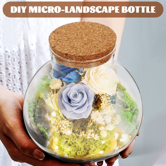Luxshiny Set of 3 Transparent Glass Terrarium Bottles for Desktop Landscape with Smooth and Stylish Elegant Design
