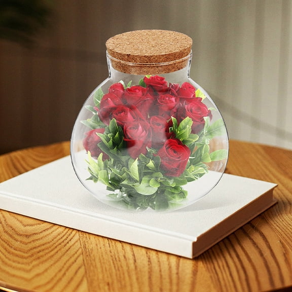 Luxshiny 3Pcs Transparent Glass Terrarium Bottles with Smooth Surface for Desktop Micro Landscape and Storage