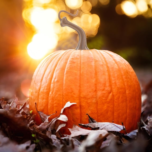 Luxshiny 40Pcs Fake Pumpkin Stems for Craft Plastic Pumpkin DIY Handles Decor Supplies