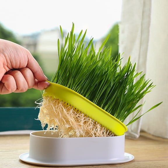 Luxshiny 4Pcs Cat Grass Planter Box with Hydroponic Soilless Design for Convenient Home Planting