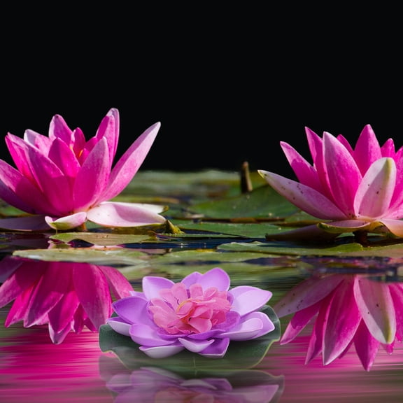 Luxshiny 4Pcs Floating Pool Flower Decorations Artificial Lotus Flowers Made from Safe Eva Material
