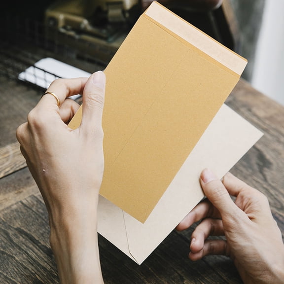 Luxshiny 60Pcs Money Organizer Kraft Paper Envelopes for Account Budgeting and Cash Storage