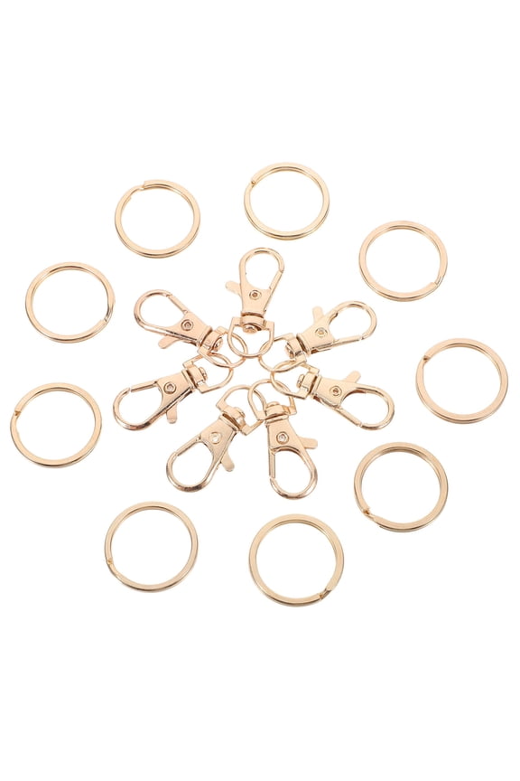 60pcs Metal Buckle Keychain Accessories with Zinc Alloy Spring Loaded Snap Gate for Craft Projects