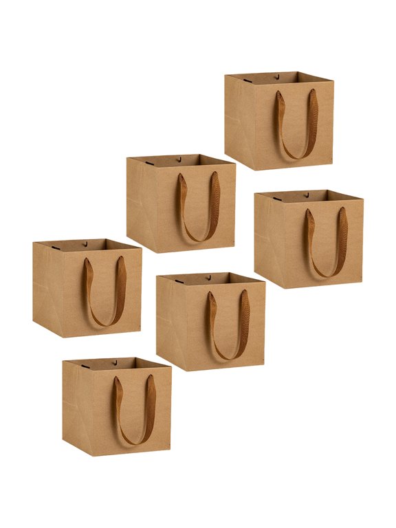 Luxshiny 6-Pack Brown Kraft Paper Bags, Thick Kraft Material, Practical Storage and Handbag Organizer