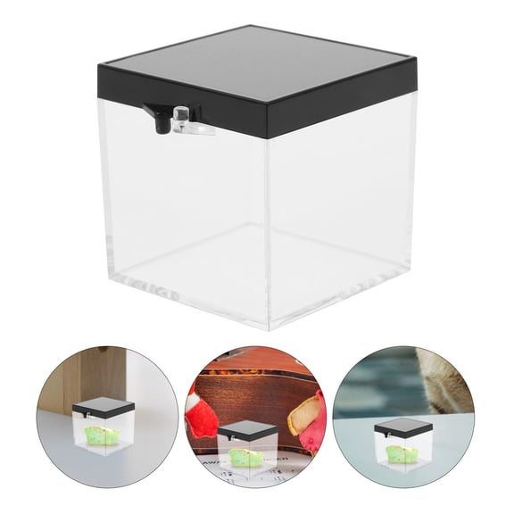 Luxshiny 6Pcs Transparent Mineral Display Boxes for Organizing and Protecting Small Collections